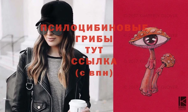круглые Алексин